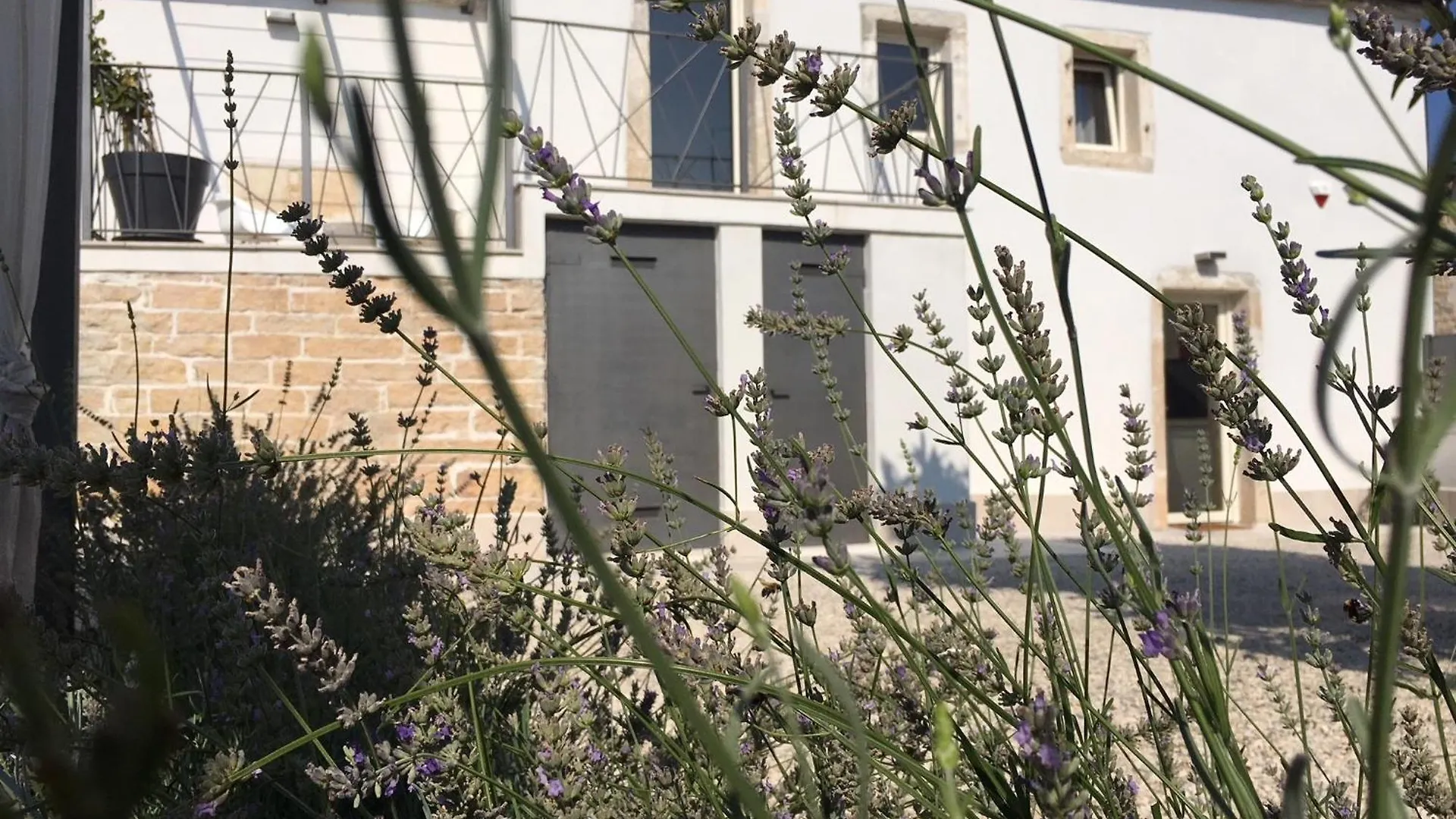 Nice Villa In Barat, Kanfanar With Outdoor Swimming Pool And Wifi Kroatien